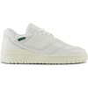 Sea Salt/Angora/Nightwatch Green