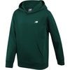 Marsh Green